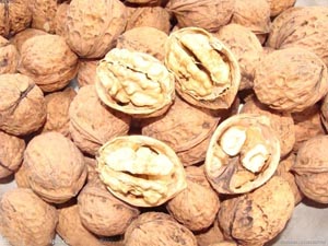 南京科進(jìn)教你核桃健腦小竅門(mén) 經(jīng)顱多普勒